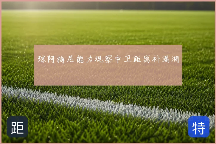 琼阿梅尼能力观察中卫距离补漏洞
